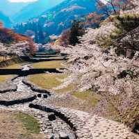 จังหวัด Gifu (岐阜) เมืองแห่งธรรมชาติ  
