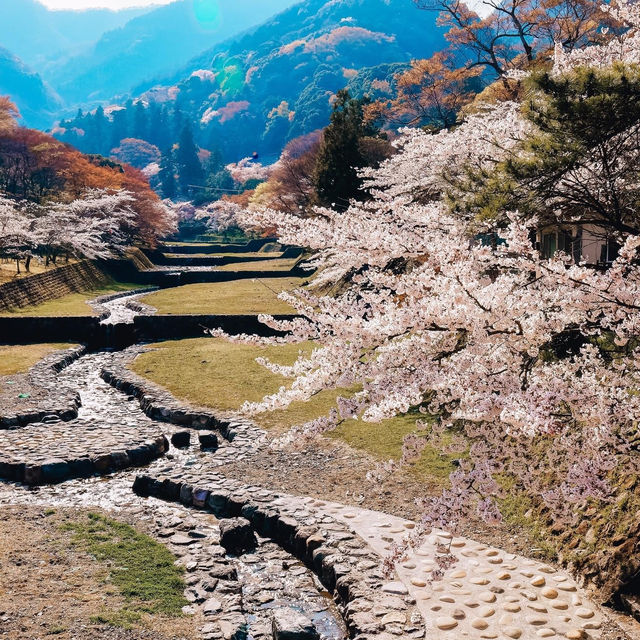 จังหวัด Gifu (岐阜) เมืองแห่งธรรมชาติ  