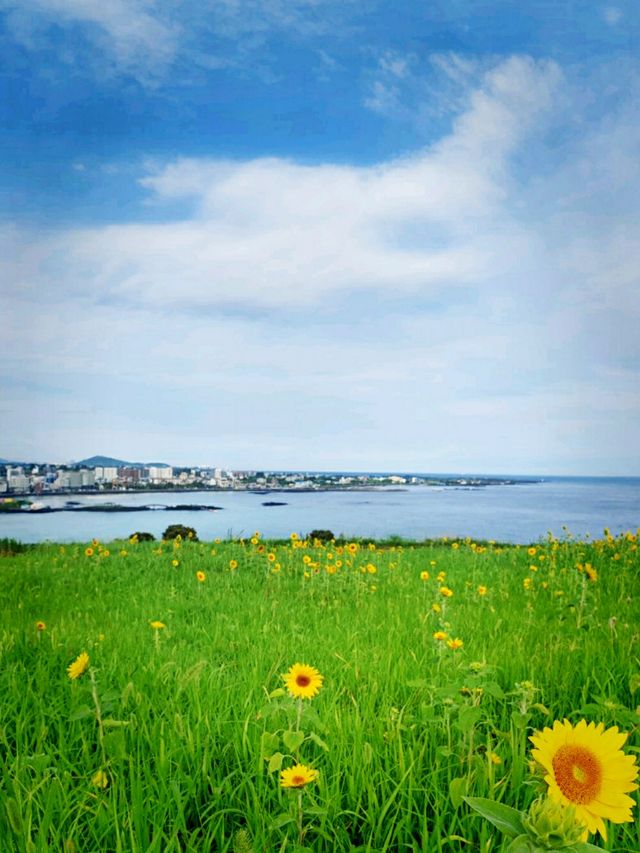 🏖에메랄드빛 해변과 ⛰초록빛 오름의 조화! 함덕해변