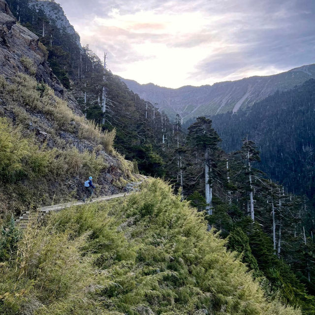 Conquering Yushan Main Peak: A Thrilling Dayhike Adventure
