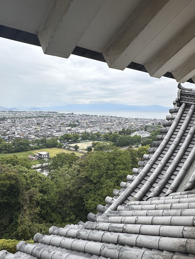 【滋賀観光】