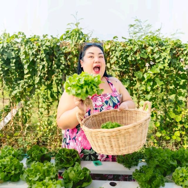 Green Ville คาเฟ่ฟีลฟาร์ม 🥬