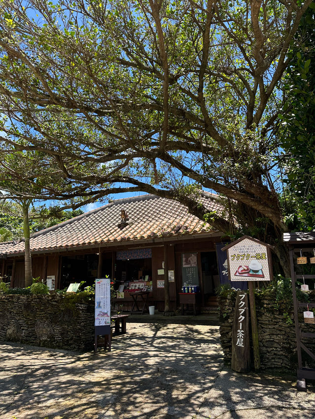 📍おきなわワールド