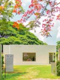 Like A Mountain คาเฟ่เขาใหญ่ 