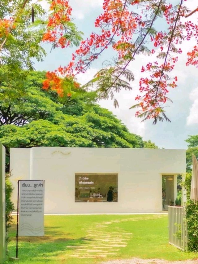 Like A Mountain คาเฟ่เขาใหญ่ 
