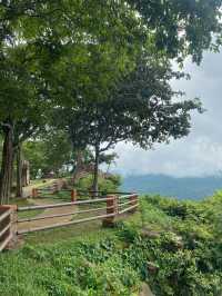 อุทยานแห่งชาติเขาพระวิหาร | ศรีสะเกษ ⛰️🌧️🌳🪨