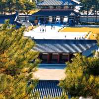 Tranquility at Chungcheongnam-do, South Korea 🇰🇷🌿