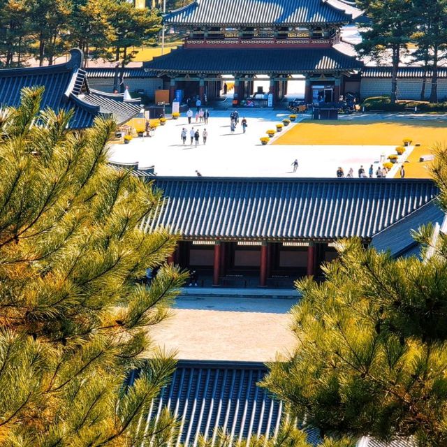 Tranquility at Chungcheongnam-do, South Korea 🇰🇷🌿