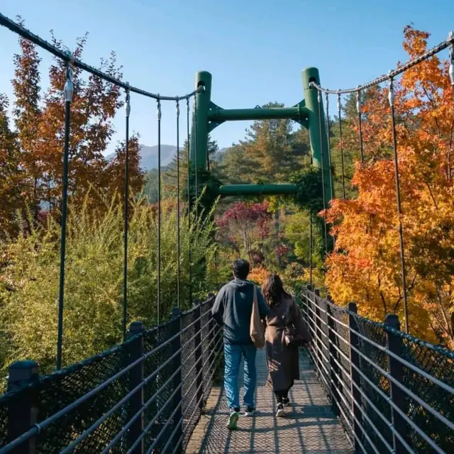 Uncover Seoul's Hidden Beauty 🇰🇷🌿