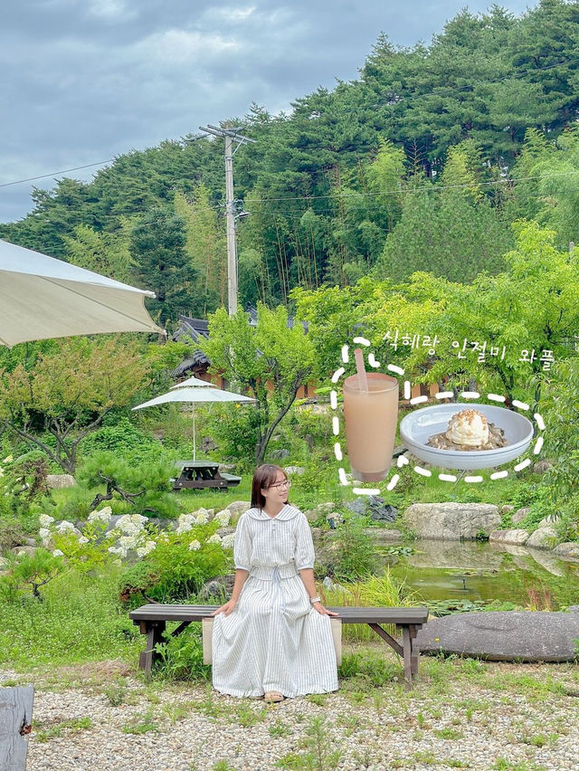 당일치기도 충분히 가능한 강릉여행! 이대로만 가보자고🩵