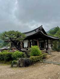 여름휴가로 떠나기 좋은 전주 근교 이색공간 아원🤍
