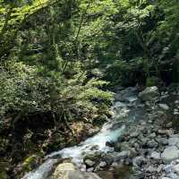 考索國家公園：原始自然生態～世外桃源