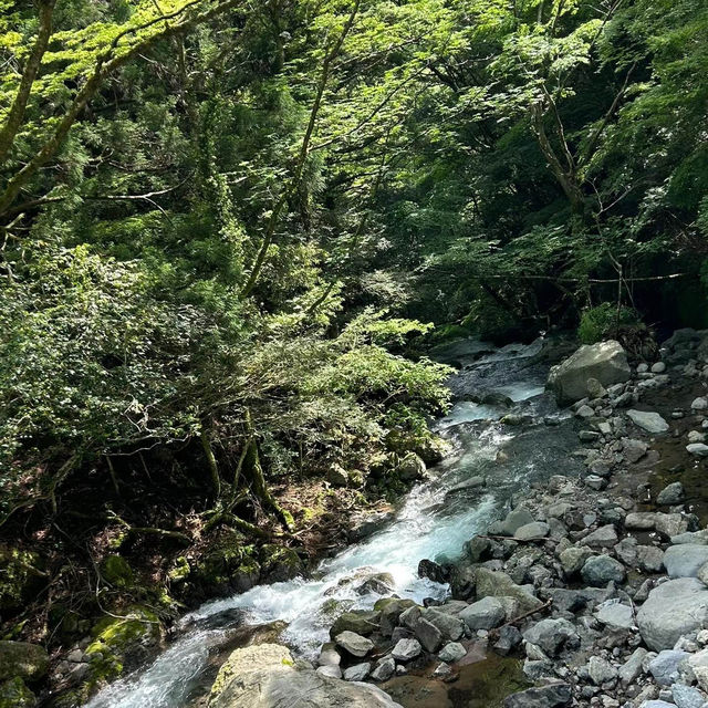 考索國家公園：原始自然生態～世外桃源