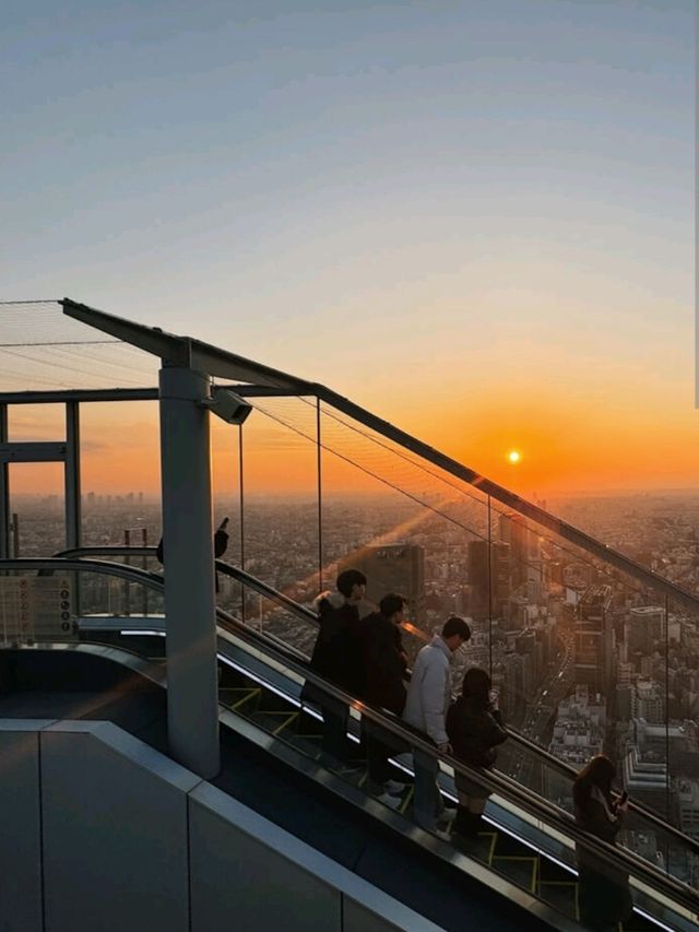 Up, Up, and Away: My Shibuya Sky Experience!