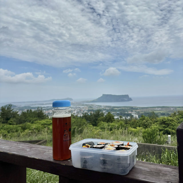 제주여행🏝️ 열한번째 오름, 동쪽의 풍경을 한눈에 담을 수 있는 대수산봉🙌