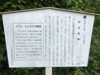 踏訪歷史遺跡：八王子城跡的幽靜之美