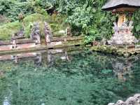 【バリ島】ティルタ ウンプル寺院に行ってきました