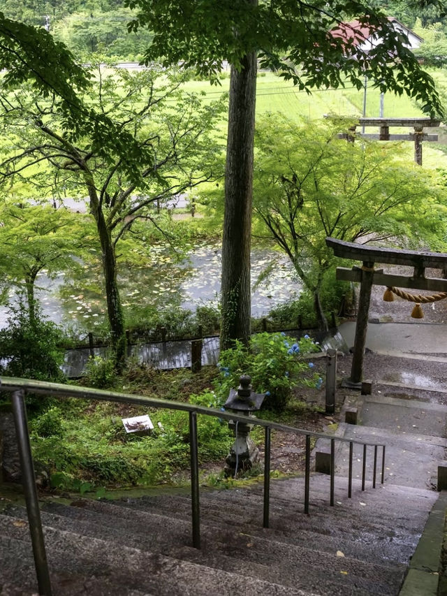 〜岐阜県〜リアルモネの池