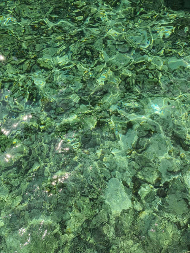 ปิเละลากูน 🌊