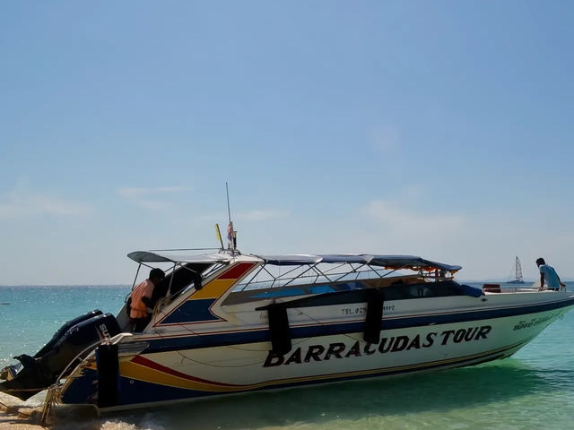🏝️ เกาะไม้ไผ่
