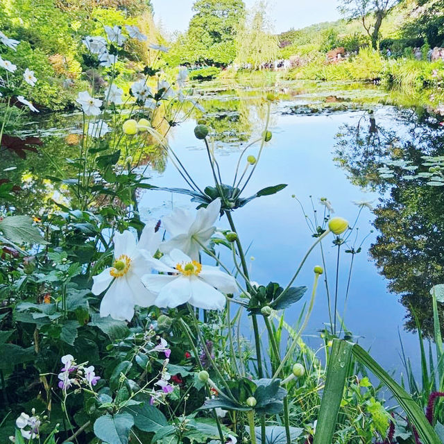 Stepping into a Living Masterpiece: Jardin de Claude Monet 🇫🇷