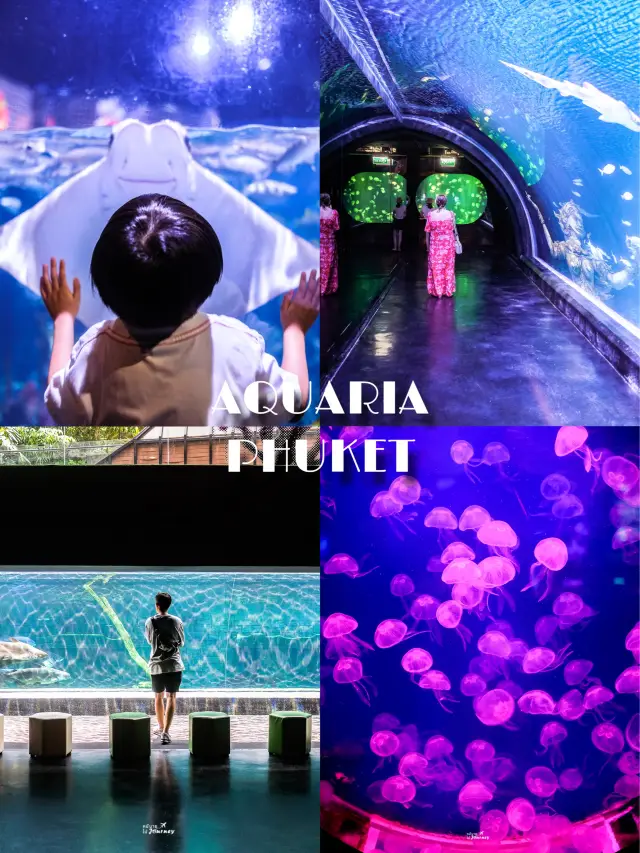 帶您前往普吉島水族館 Aquaria Phuket 探索海底世界 