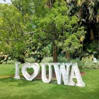 Exploring the Urban Oasis: A Trip to UWA Perth