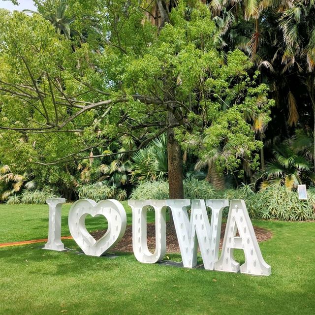 Exploring the Urban Oasis: A Trip to UWA Perth