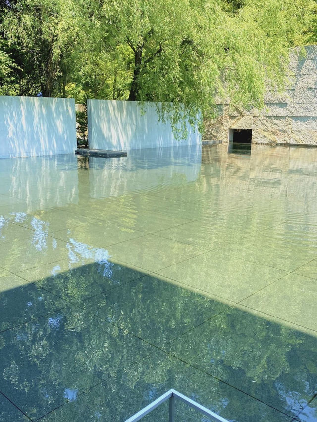 【禅の世界を体感する🌱鈴木大拙館✨】