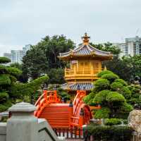 A Peaceful Escape to Chi Lin Nunnery