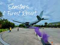 🛩️ คาเฟ่เครื่องบิน Seastars & forest Resort ☕️