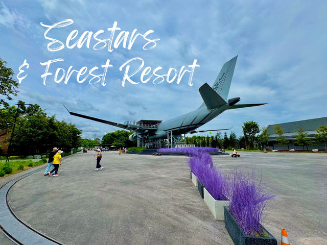 🛩️ คาเฟ่เครื่องบิน Seastars & forest Resort ☕️