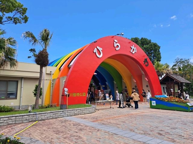 【鹿児島市平川動物公園】壮大な敷地で色んな動物を見に行こう🐨