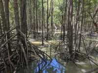 Saphan Hin 