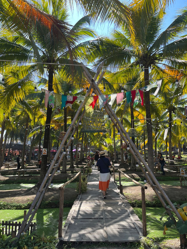 이런 숲 본적있어? 태국 코코아나무 숲🌴
