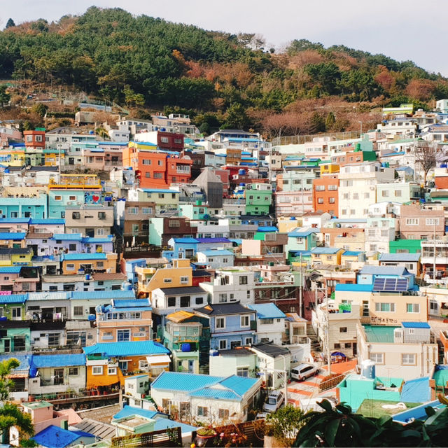 【韓国/釜山】この景色は釜山でしか見れない！甘川文化村