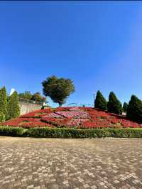 〜神奈川県〜ここが公園？花の楽園相模原公園
