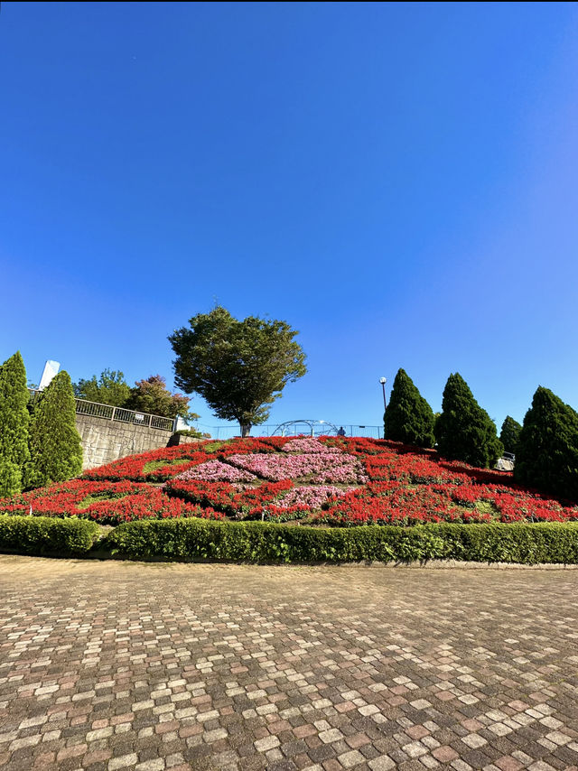 〜神奈川県〜ここが公園？花の楽園相模原公園