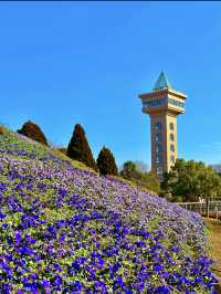 〜神奈川県〜ここが公園？花の楽園相模原公園