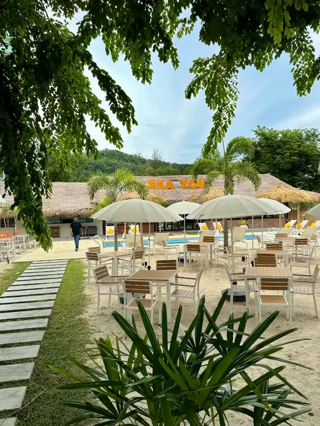 만나서 반가워요, 베이에서.