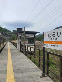นั่งรถไฟเที่ยวต่างจังหวัดในญี่ปุ่น