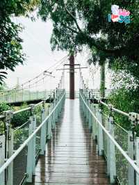 🇸🇬 Forest Suspension Bridge Bird Paradise