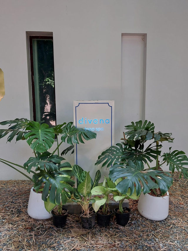 📍ชวนแวะมานวดผ่อนคลายที่ Divana lana spa 