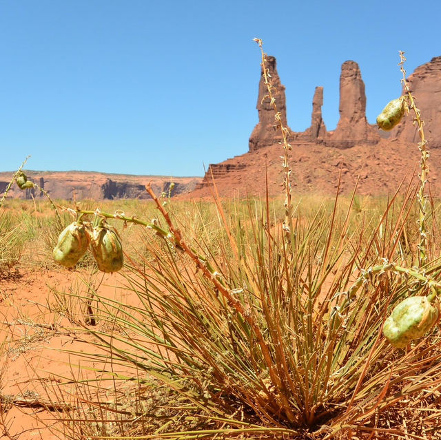 Iconic American Southwest Landscapes