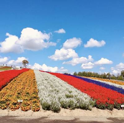 最新】四季彩の丘 - チケット、営業時間、口コミ、写真 [2025年