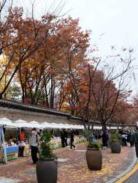 ถนนสุดโรแมนติกกับกำแพงหินอันสวยงามข้างพระราชวังต็อกซู🍁