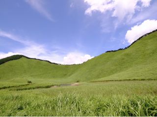 Nara: A Blue Carpet? Soni Highland.