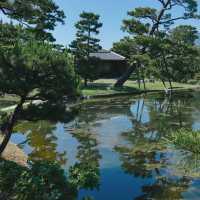 氤氳綠意～感應院