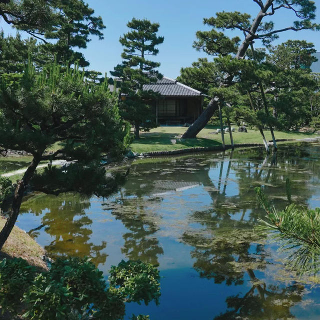 氤氳綠意～感應院