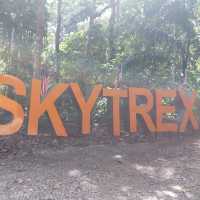 Skytrex Adventure
